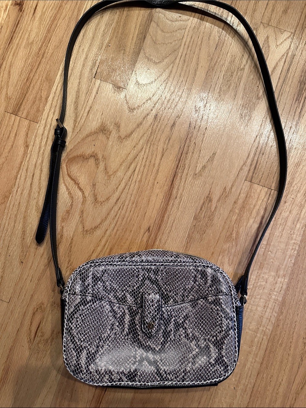 G.I.L.I. Leather Python-Print Crossbody Bag in Gray and Black